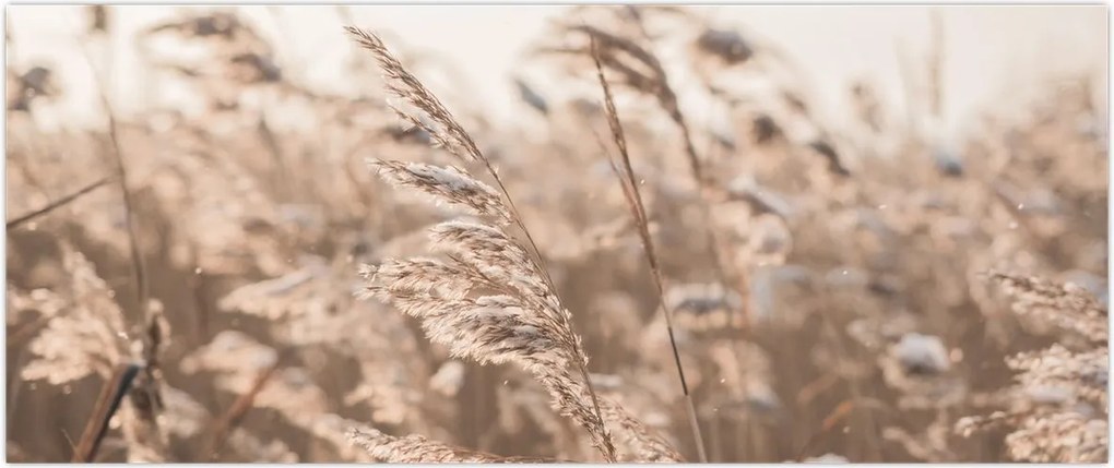 Tablou - Adiere de luncă (120x50 cm)