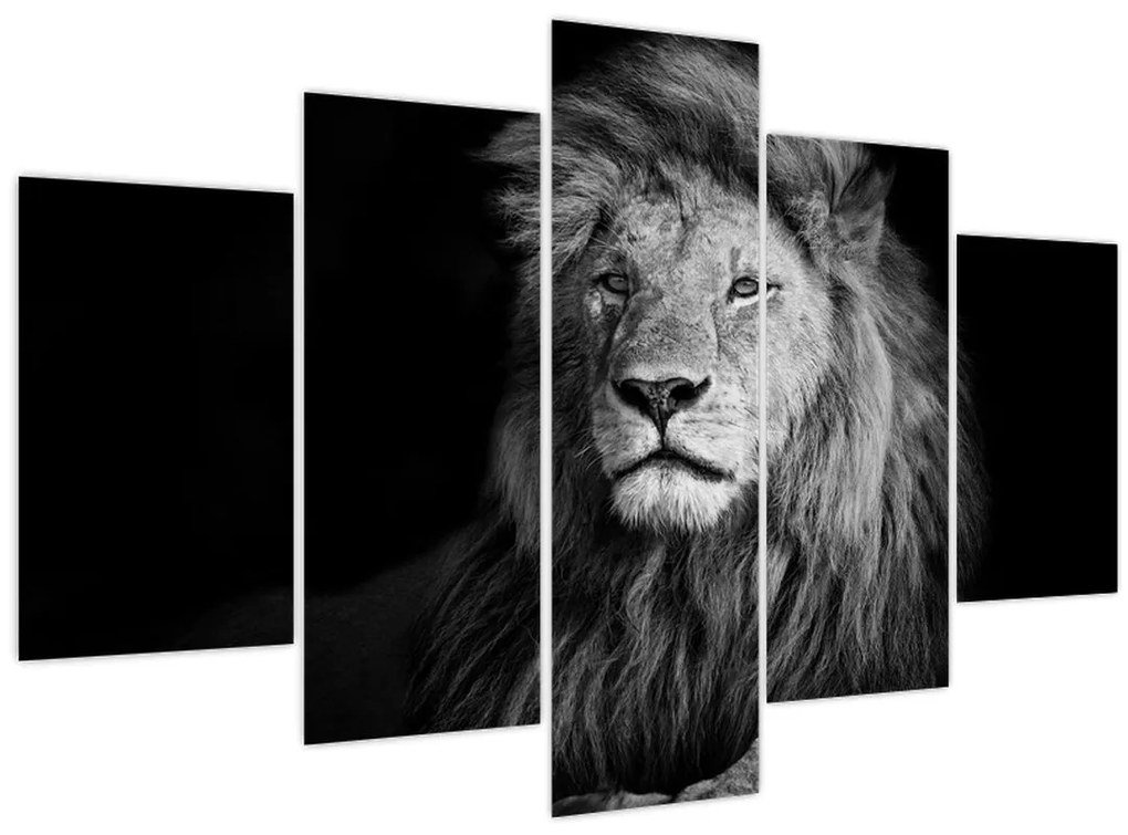 Tablou - Leu, alb și negru (150x105 cm)