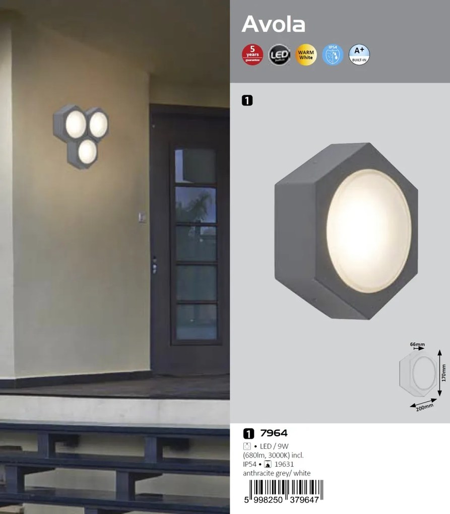 Aplica perete LED de exterior IP54 Avola 7964 RX