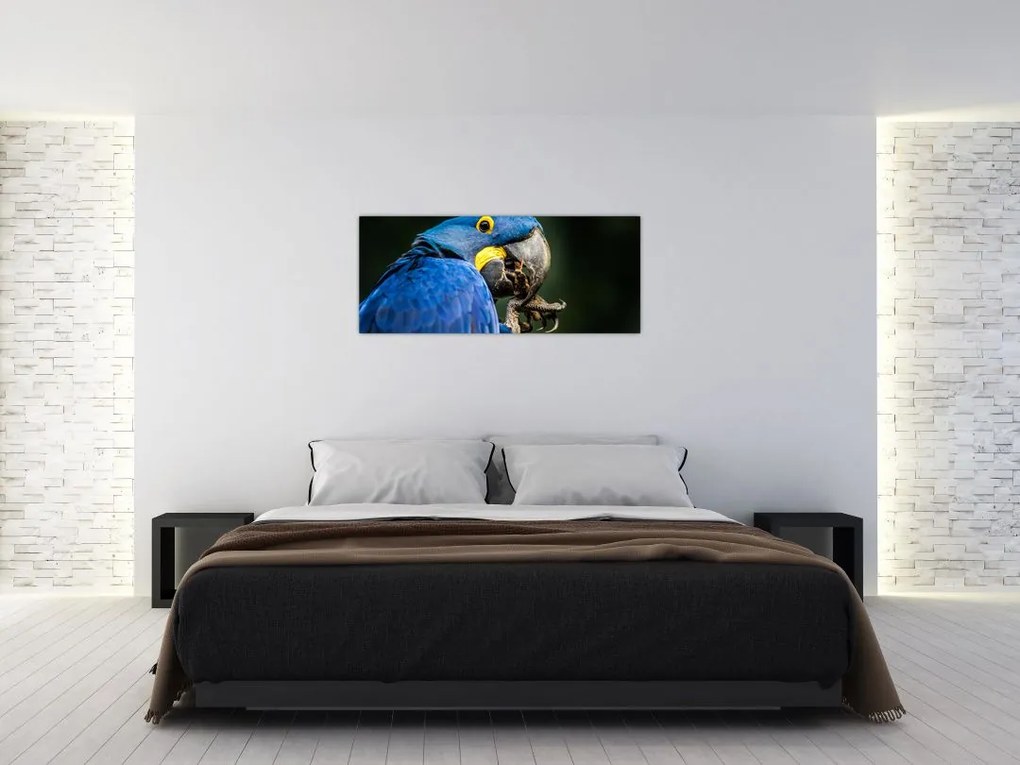 Tablou cu papagal (120x50 cm)