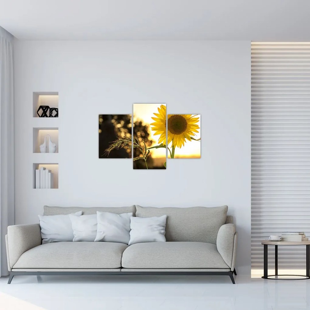 Tablou cu floarea soarelui (90x60 cm)