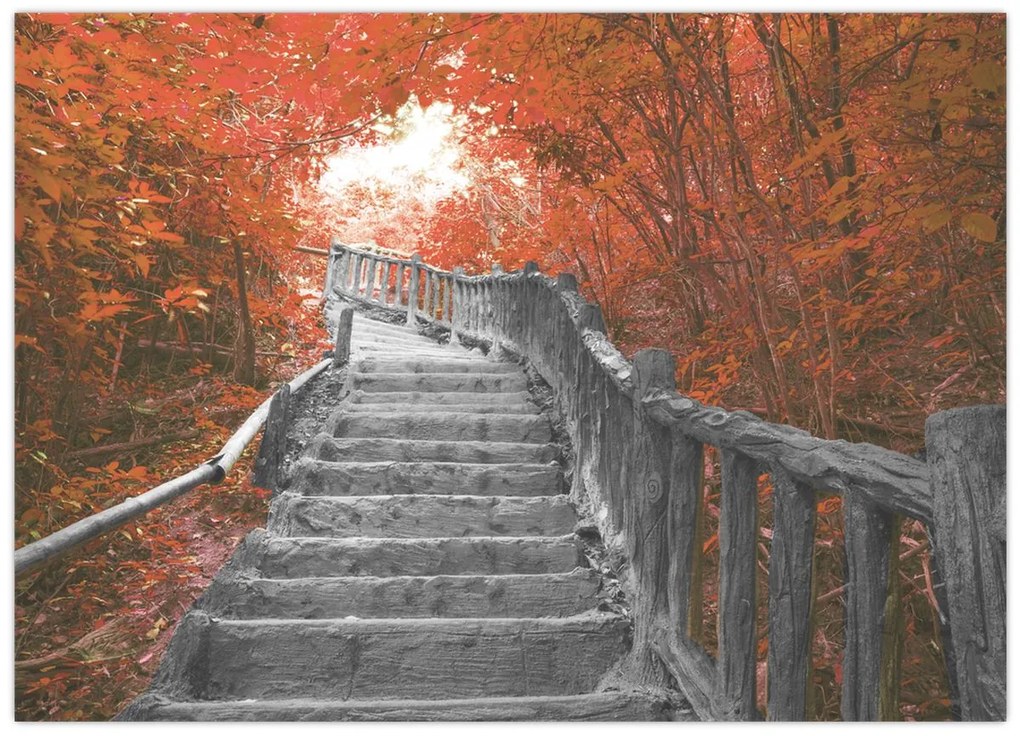 Tablou pe sticlă - Scări în natură, portocaliu (70x50 cm)