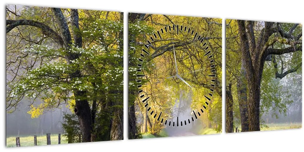 Tablou - Smoky Mountains, Gatlinburg, SUA (cu ceas) (90x30 cm)