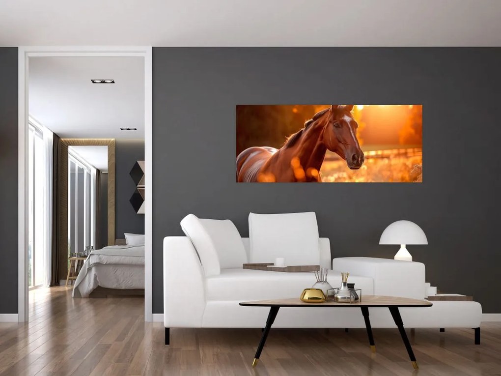 Tablou - Cal în apus de soare (120x50 cm)