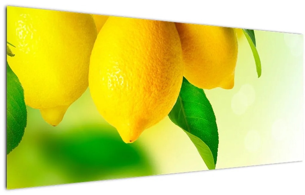 Tablou cu lămâi (120x50 cm)