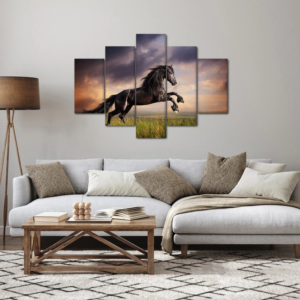 Tablou - Cai (150x105 cm)