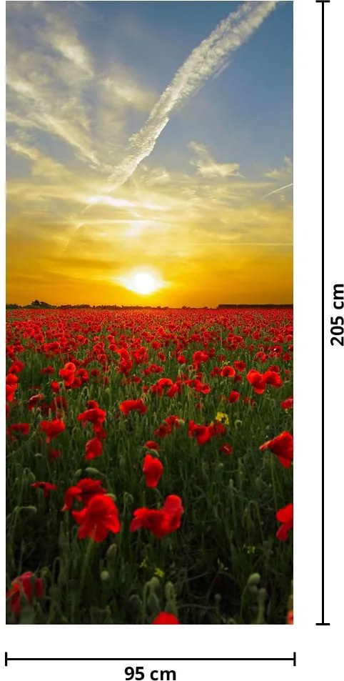 Fototapet pentru ușă -Câmp cu maci (95x205cm)