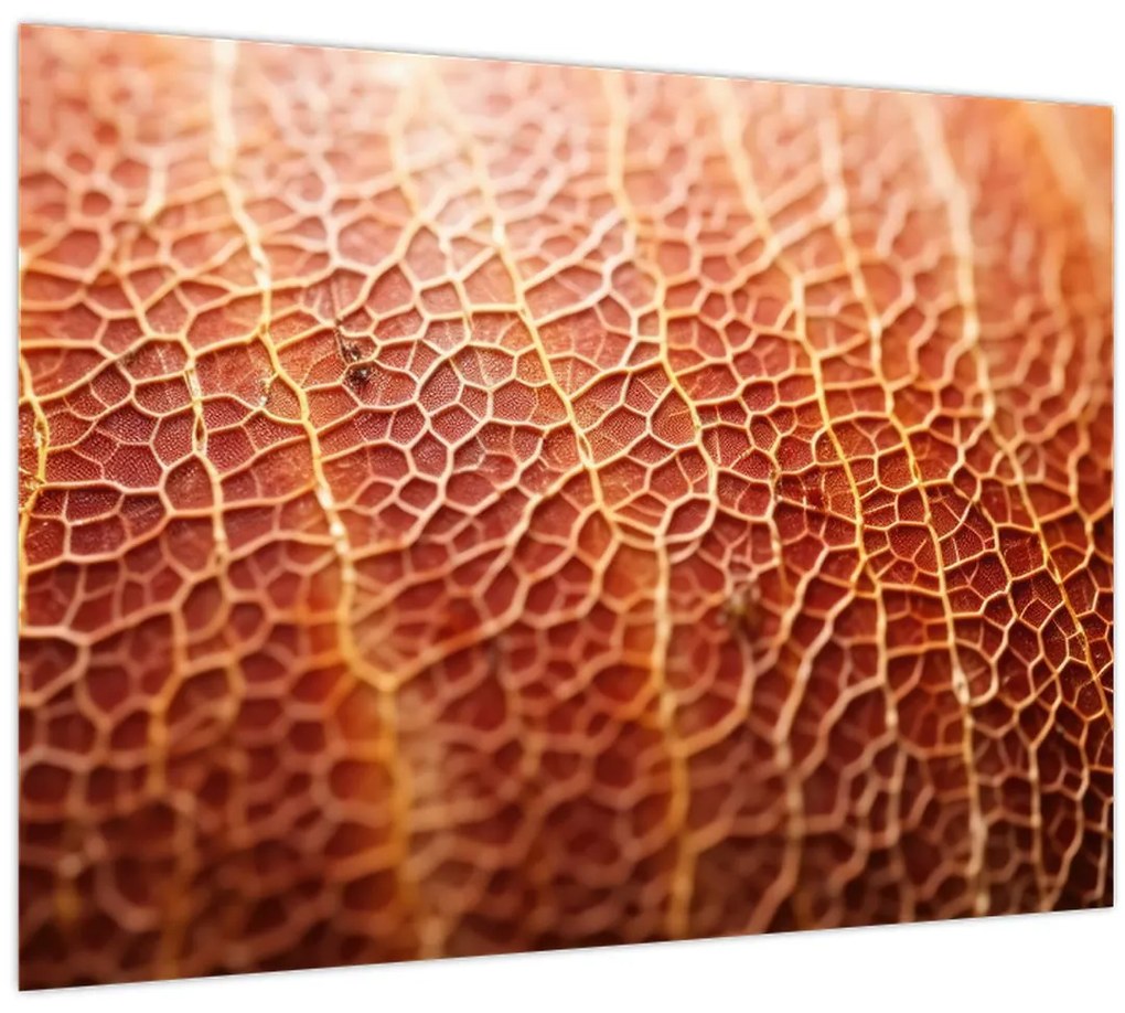 Tablou - Detaliu de textură (70x50 cm)