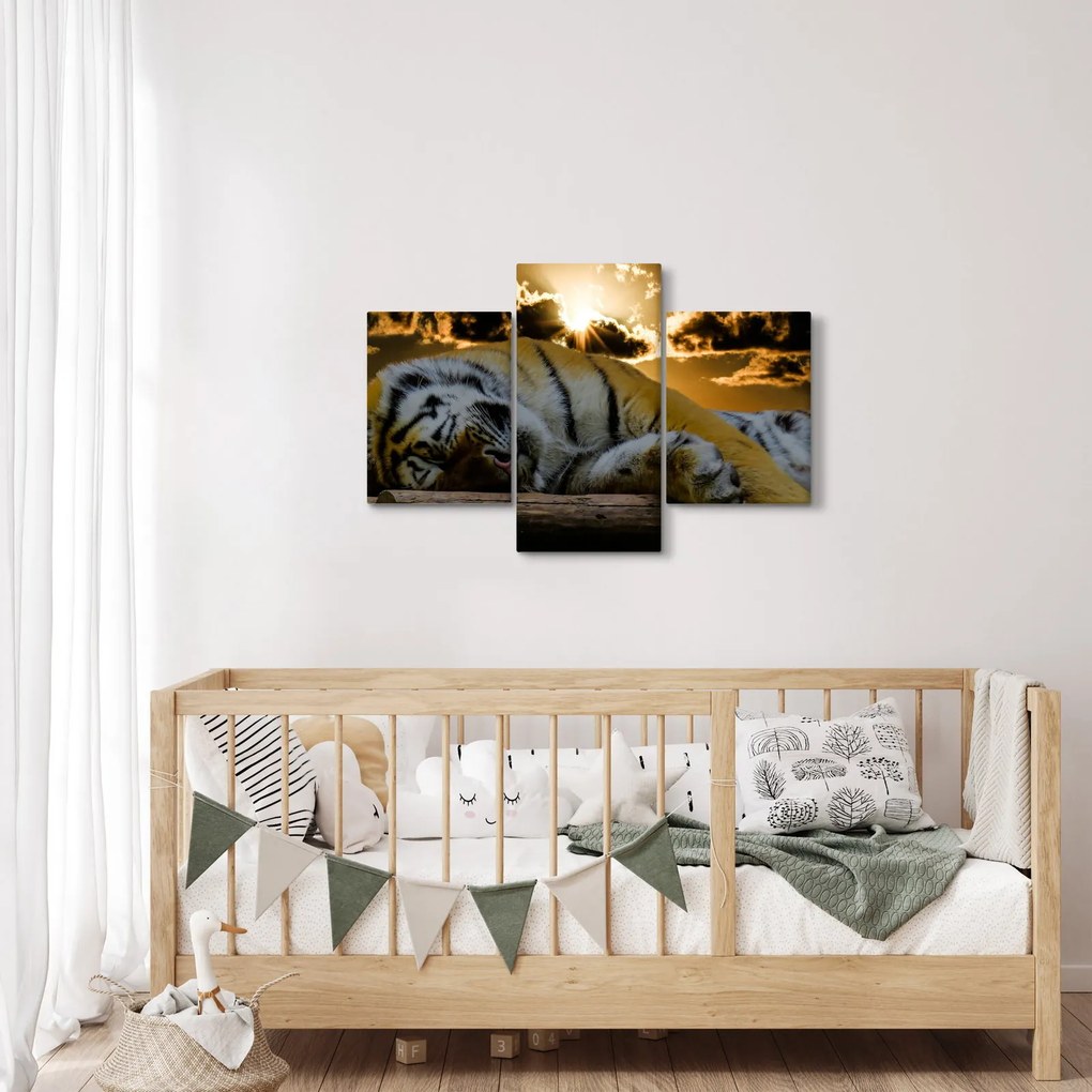 Tablou tigrul dormind (90x60 cm)