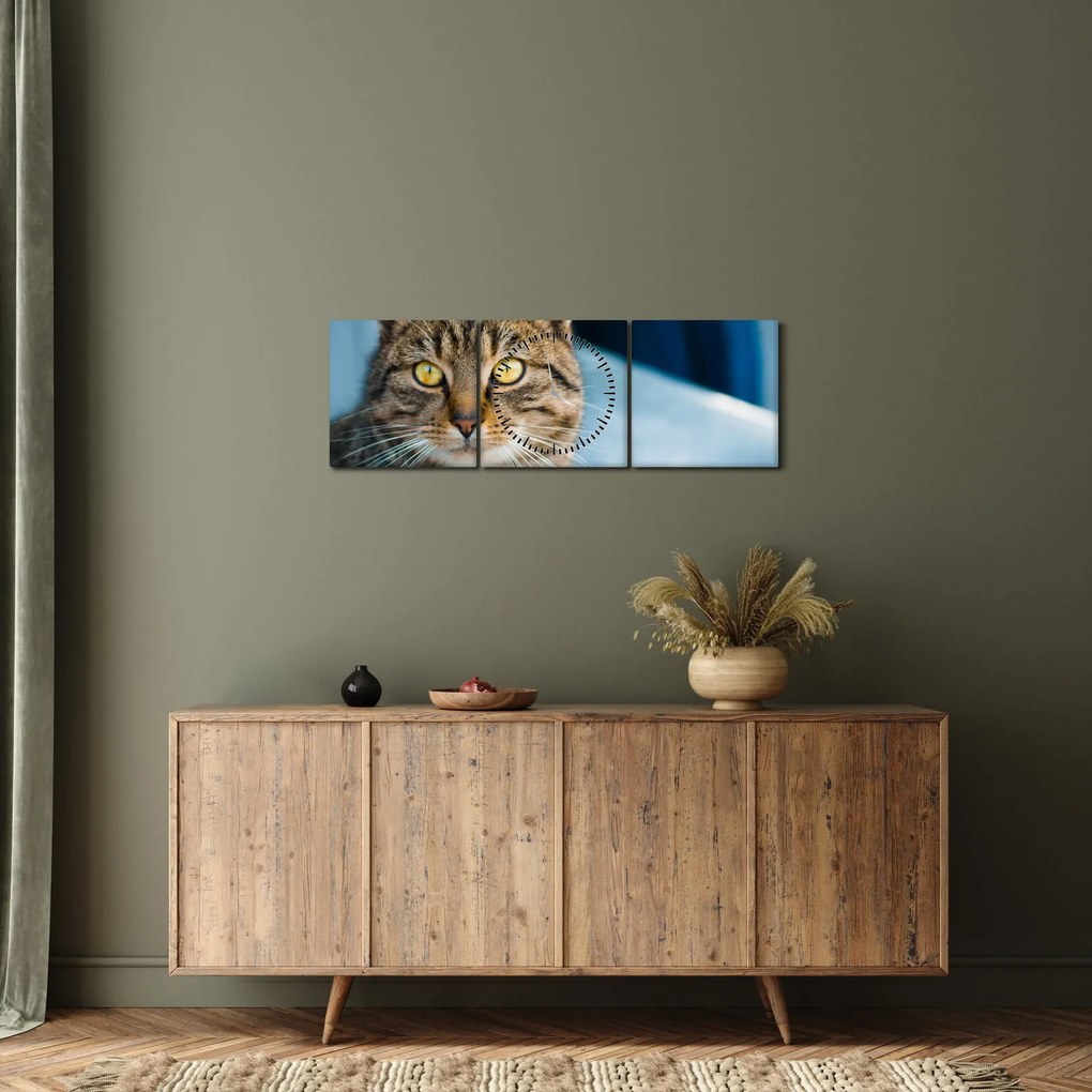 Tablou - Pisica domestică (cu ceas) (90x30 cm)