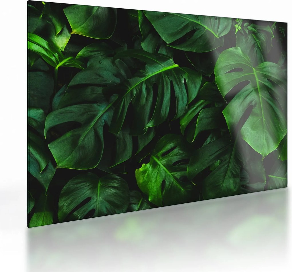 Tablou pe sticlă cu frunze Monstery (70x50 cm)