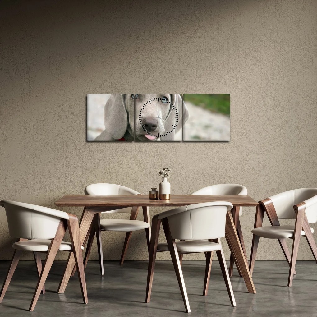 Tablou - cățeluș weimaraner (cu ceas) (90x30 cm)