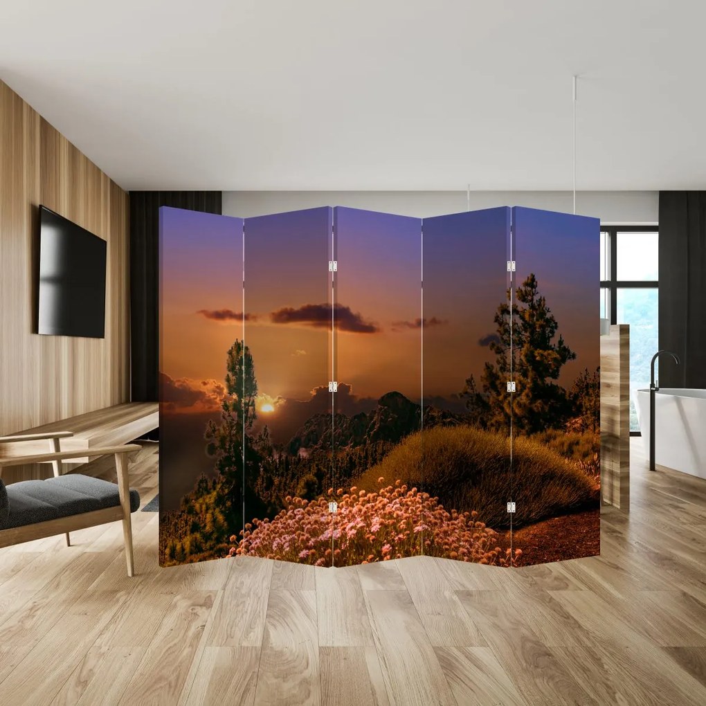 Paravan naturii - Apus de soare (210x170 cm)