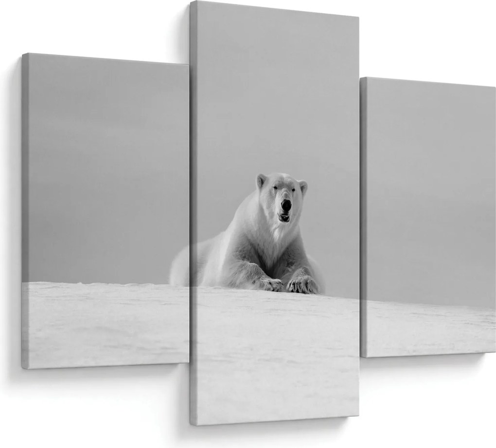 Tablou - Ursul polar (90x60 cm)