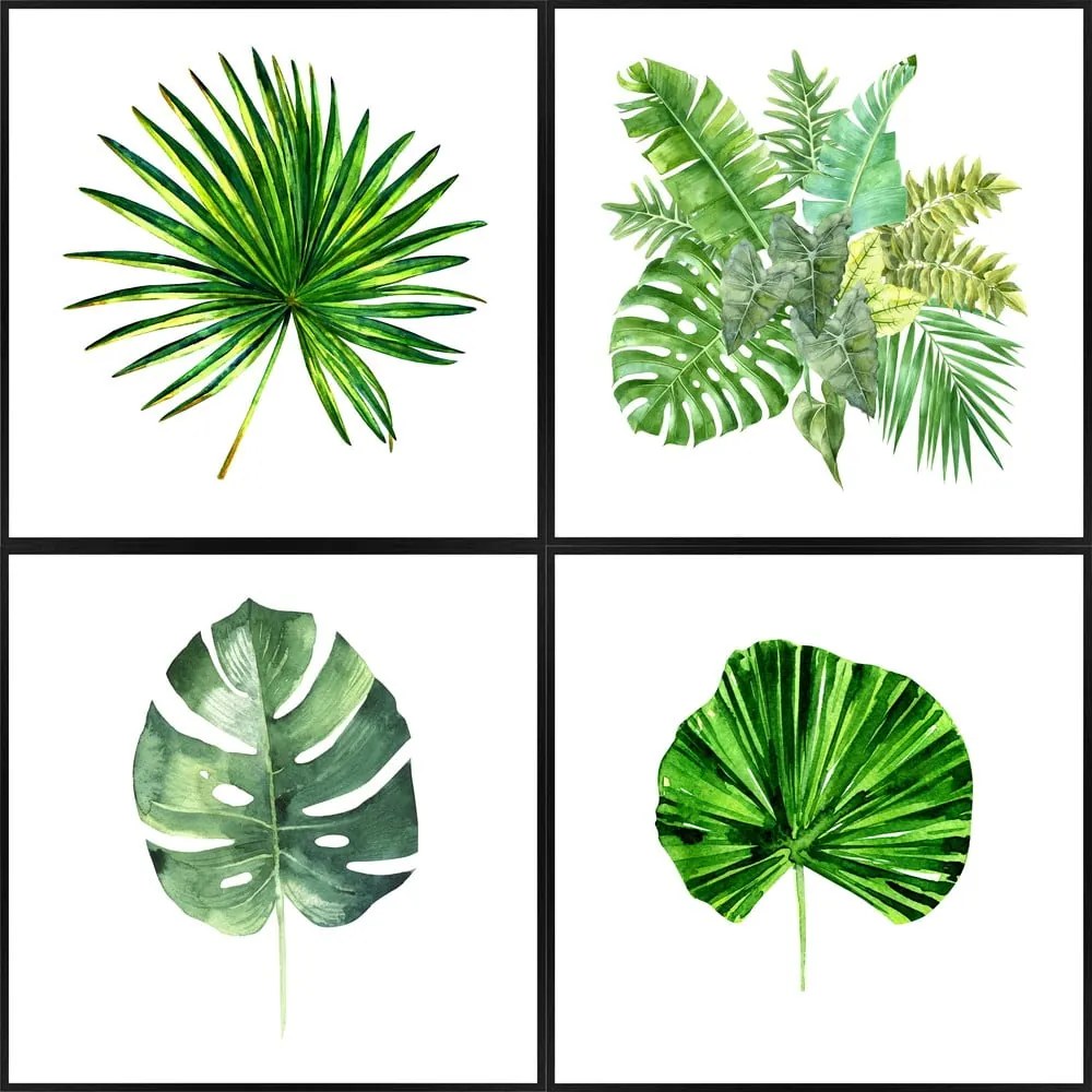 Poster 30x30 cm Monstera