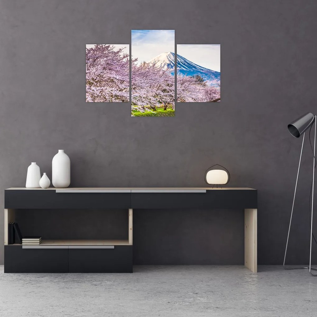 Tablou - Japonia în primăvară (90x60 cm)