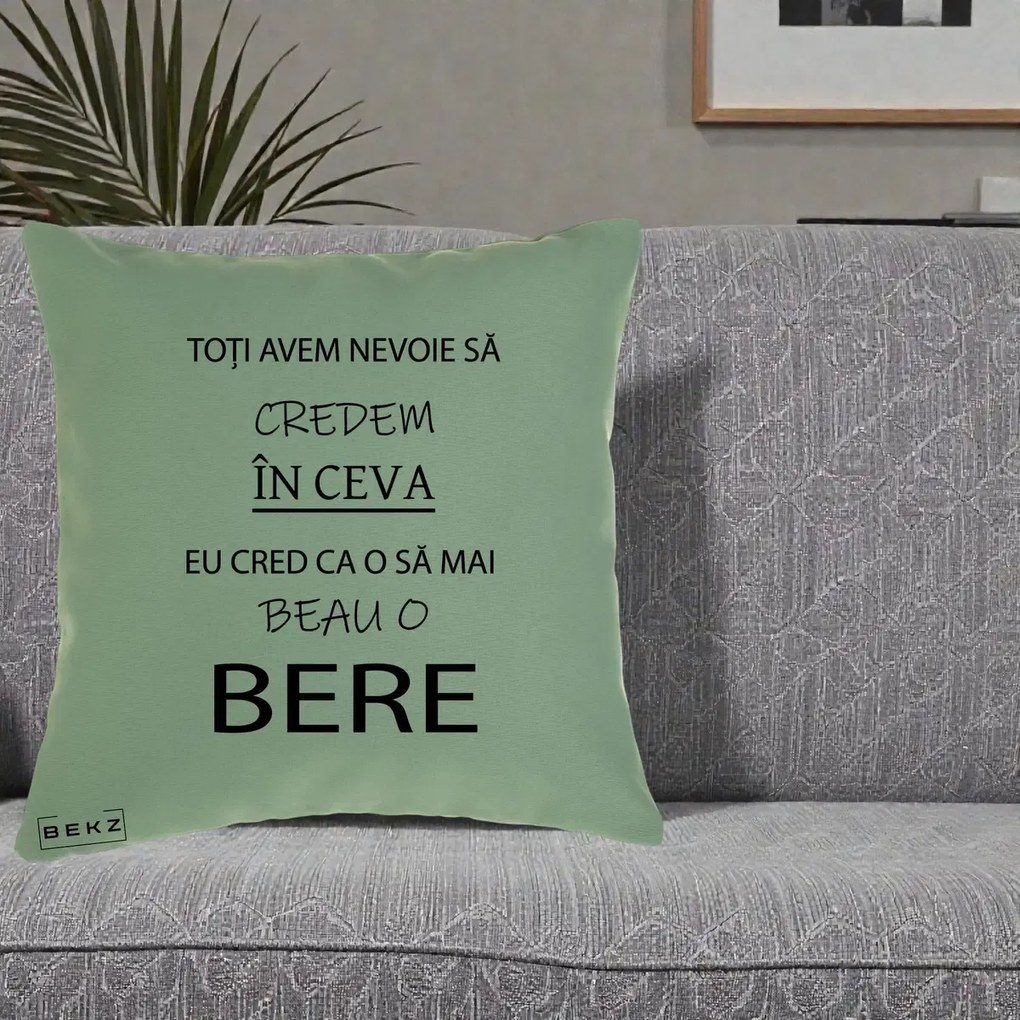 Perna Decorativa Eu Cred ca mai Beau o Bere, 40x40 cm, Verde, Husa Detasabila, Perna Inclusa, BEKZ®