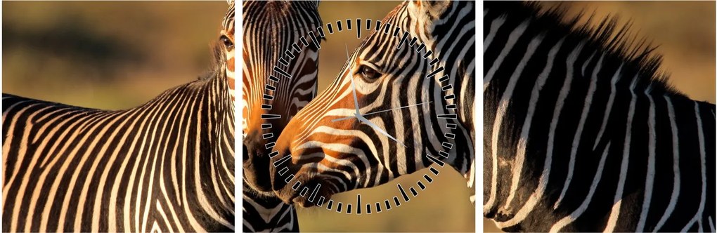 Tablou - Două zebre (cu ceas) (90x30 cm)