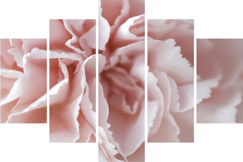 Tablou - Detaliu flori (150x105 cm)