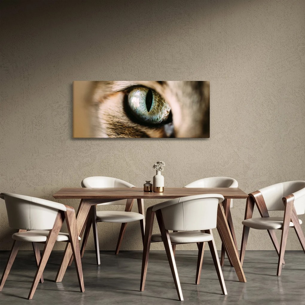 Tablou - Ochi de pisică (120x50 cm)