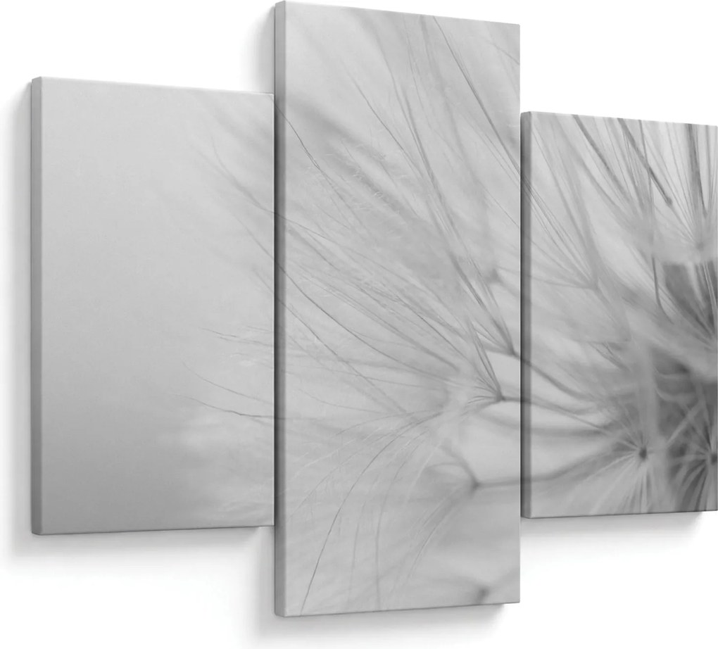 Tablou - Dandelion (90x60 cm)
