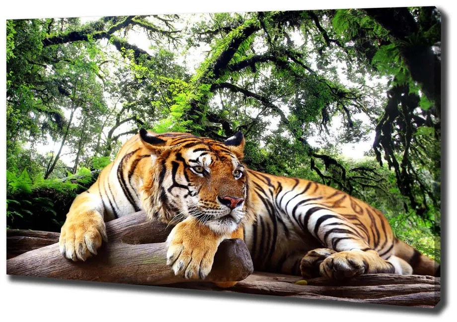 Tablou pe pânză Tiger pe stâncă