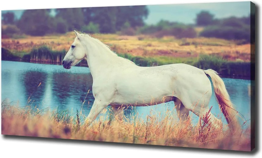 Imprimare tablou canvas White lake horse