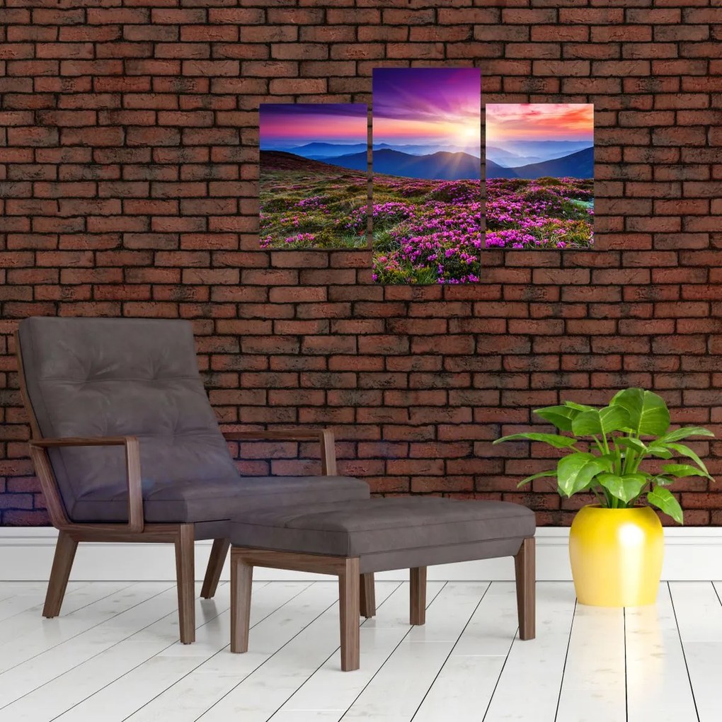 Tablou - Munte înflorit peisaj (90x60 cm)