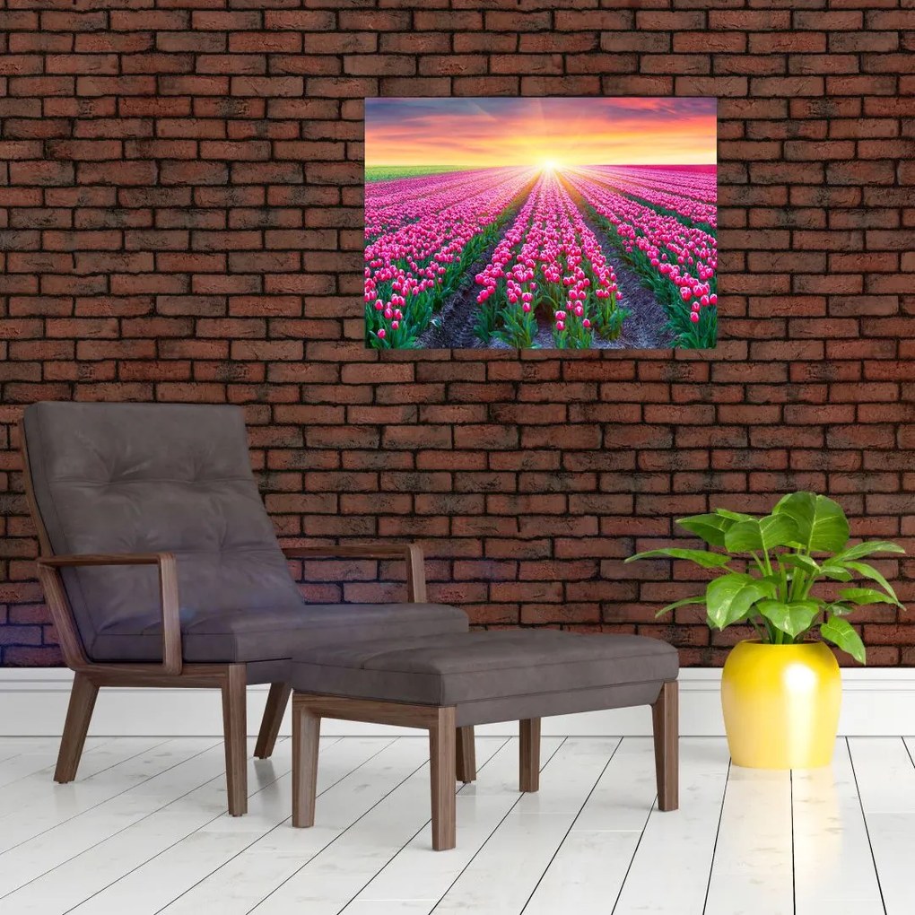 Tablou pe sticlă cu câmp de lalele cu soare (70x50 cm)