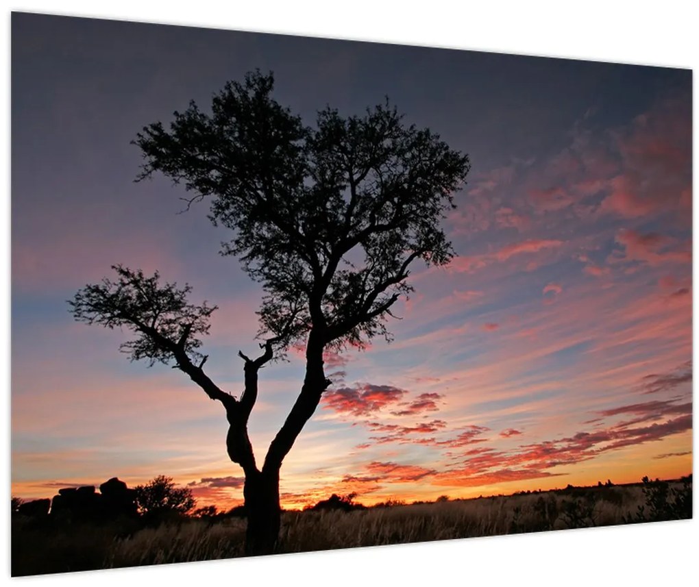 Tablou - Copac și nuanțe roșiatice (90x60 cm)