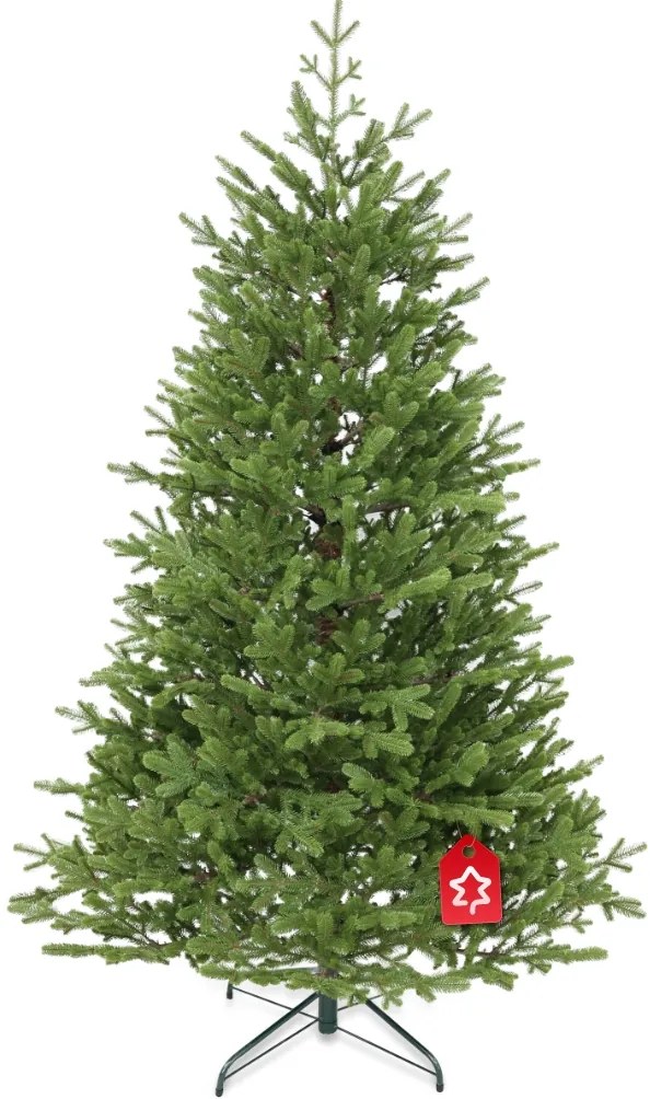 Molid Natura 100% 210 cm