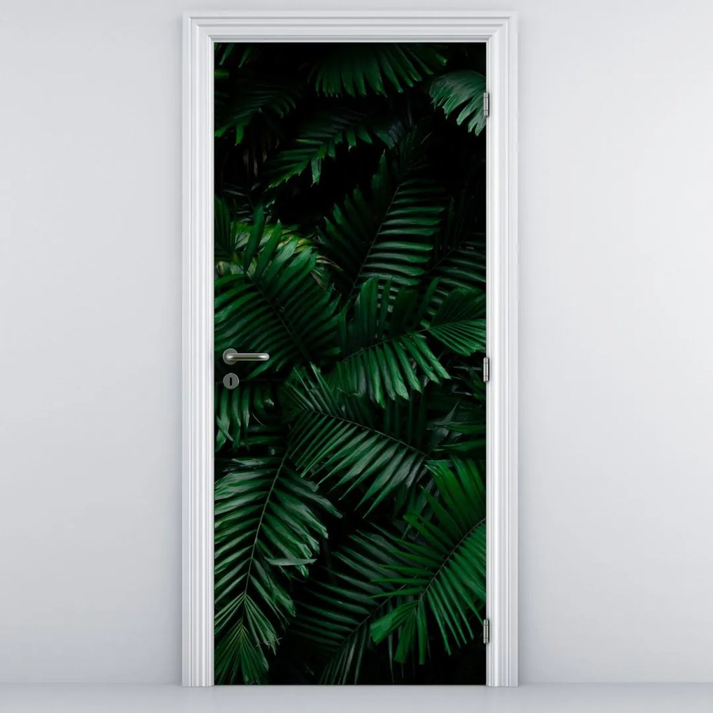 Fototapet pentru ușă - Ferigi tropicale (95x205cm)