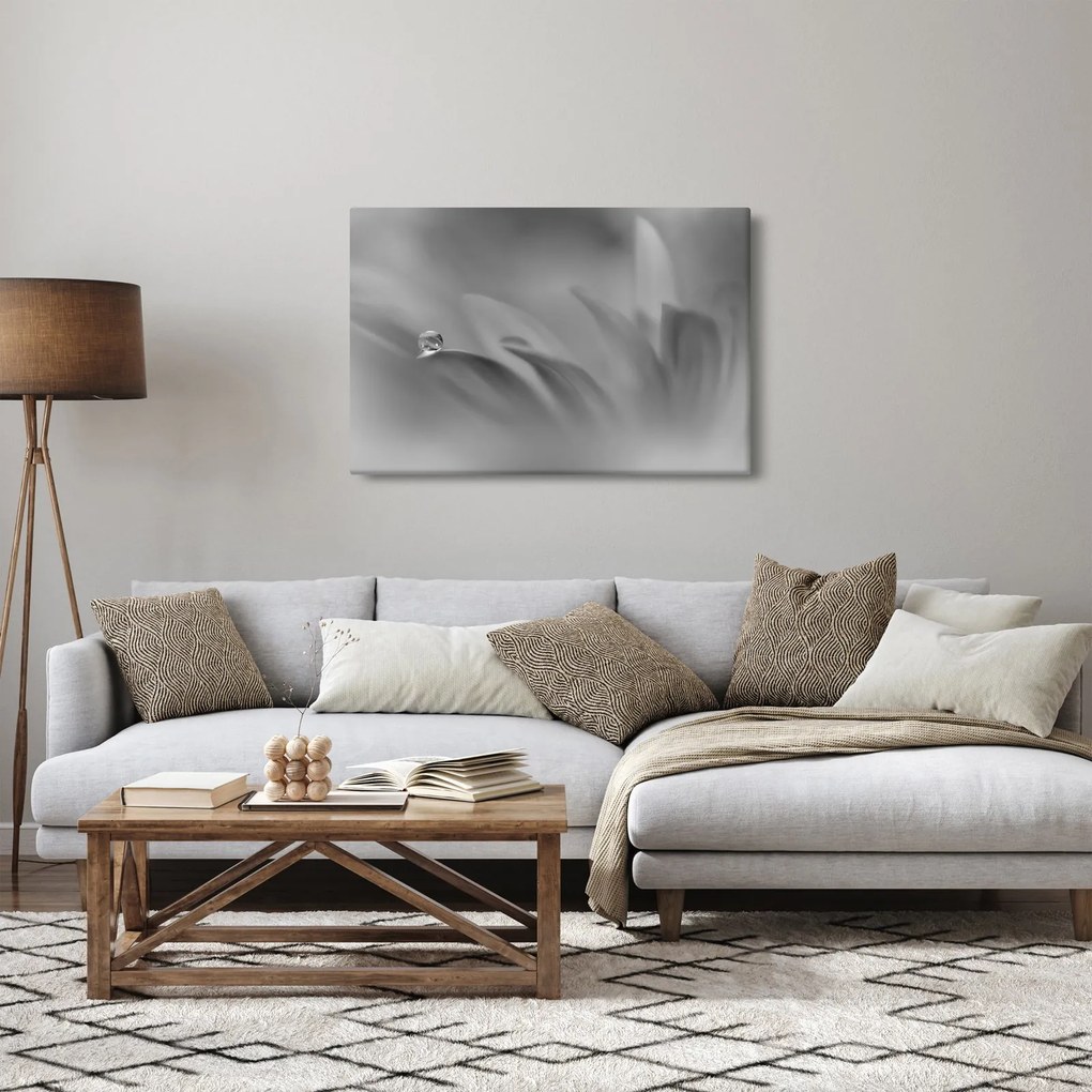 Tablou - Picătură pe floare,alb-negru (90x60 cm)