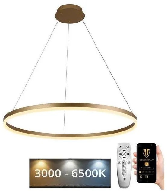 Lustră LED dimabilă pe cablu LED/55W/230V 3000-6500K + telecomandă