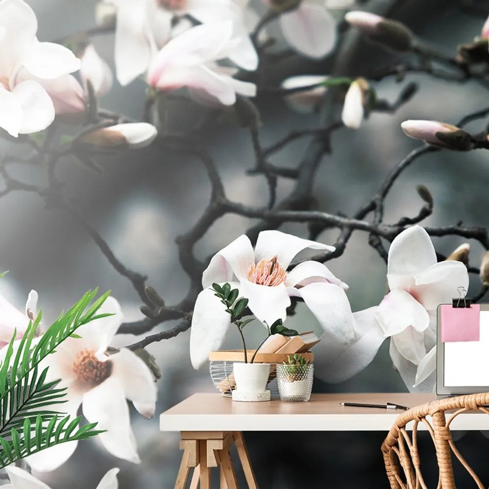 Fototapet trezirea magnoliei