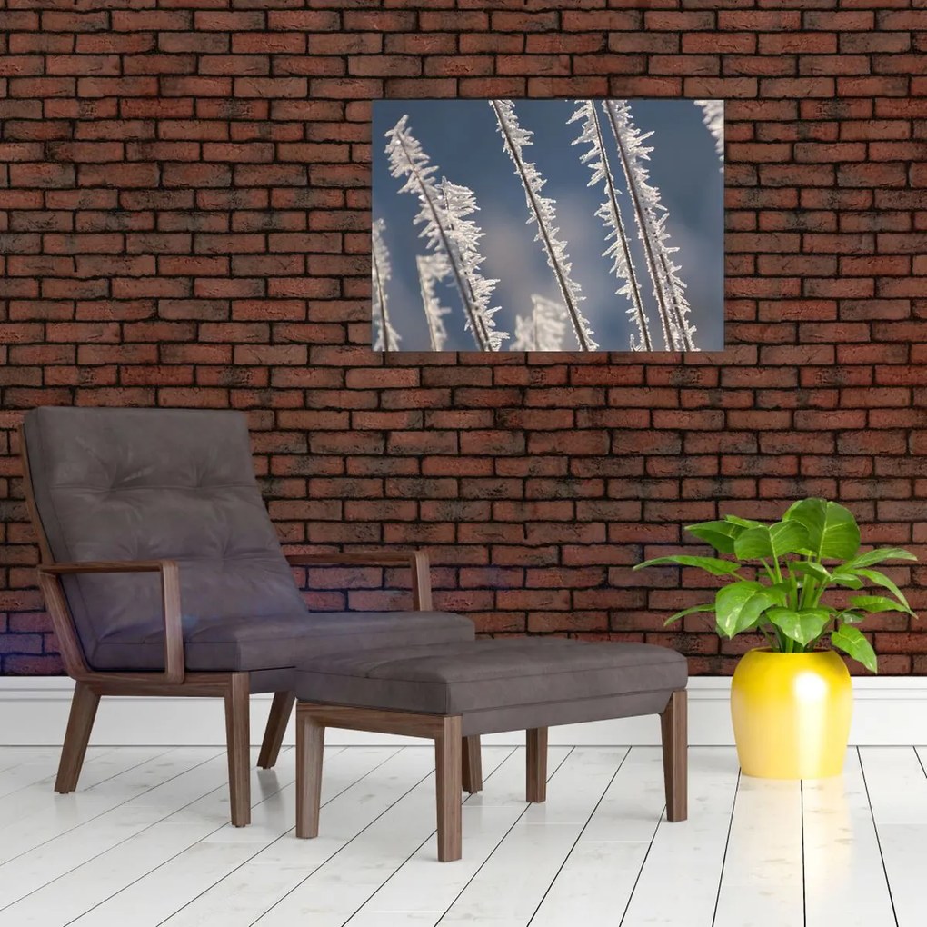 Tablou - Îngheț (70x50 cm)