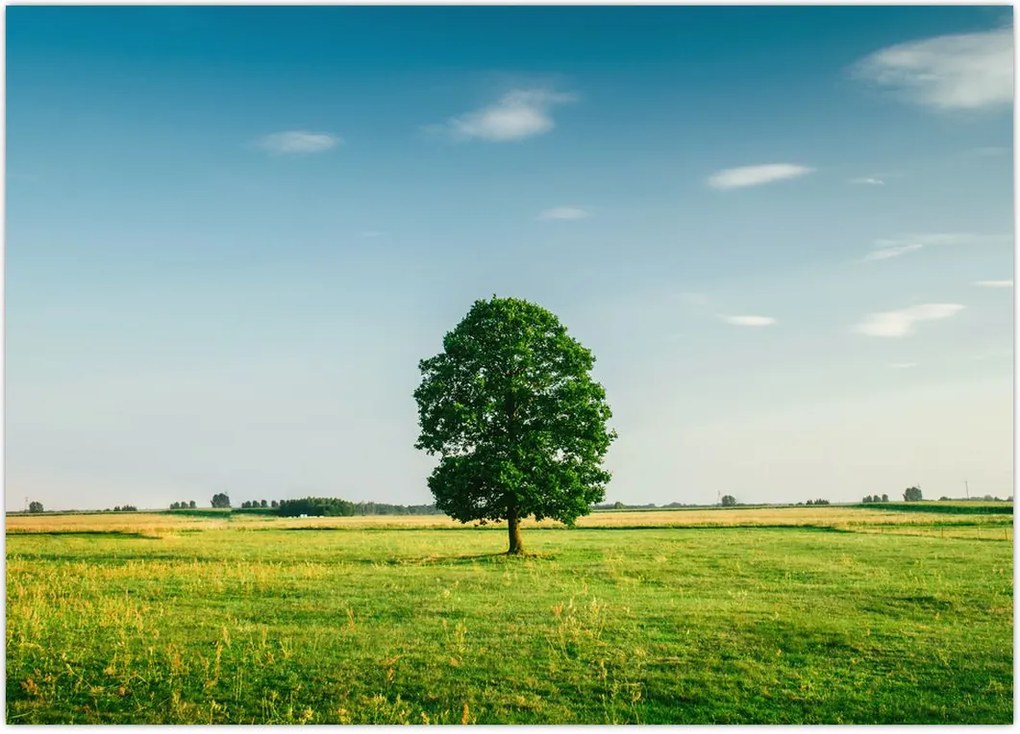 Tablu - Copac în luncă (70x50 cm)
