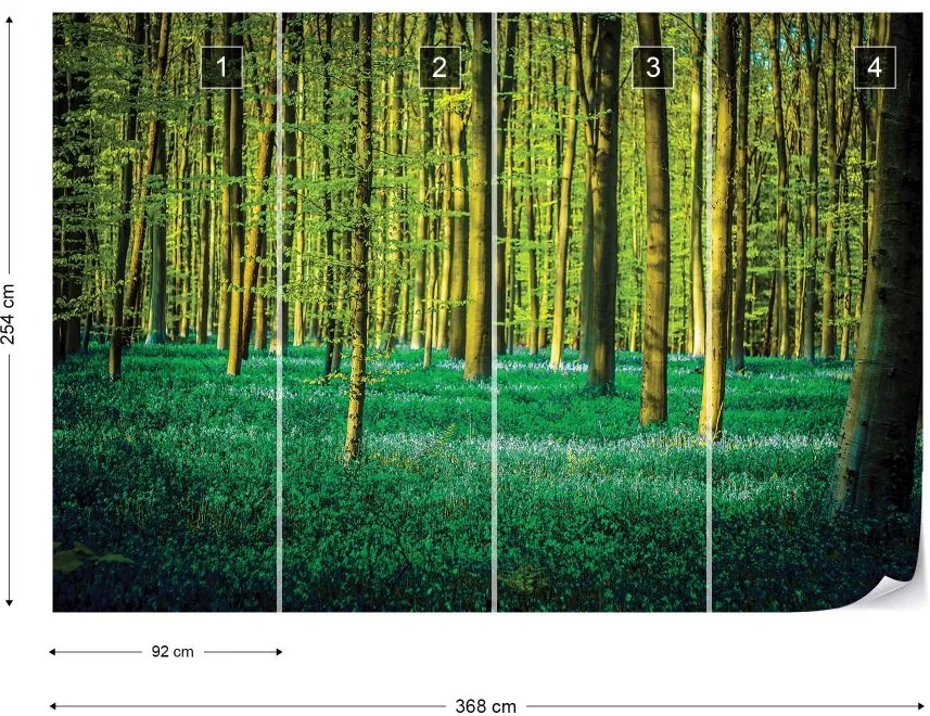 Fototapet GLIX - Green Forest Trees + adeziv GRATUIT Papírová tapeta  - 368x254 cm