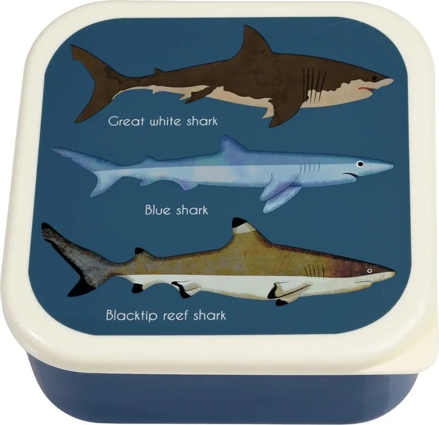 Cutii de gustări pentru copii albastru-închis 3 buc. Sharks – Rex London