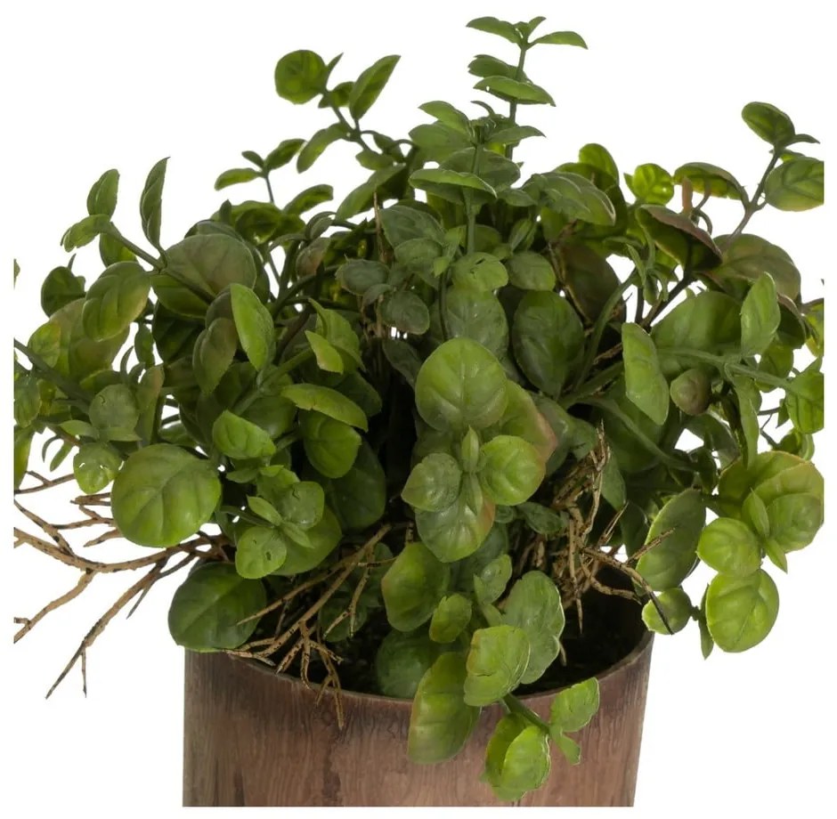 Plante artificiale 2 buc. (înălțime 22 cm) – Casa Selección