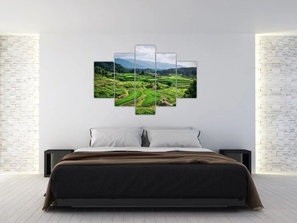 Tablou cu câmp de orez (150x105 cm)