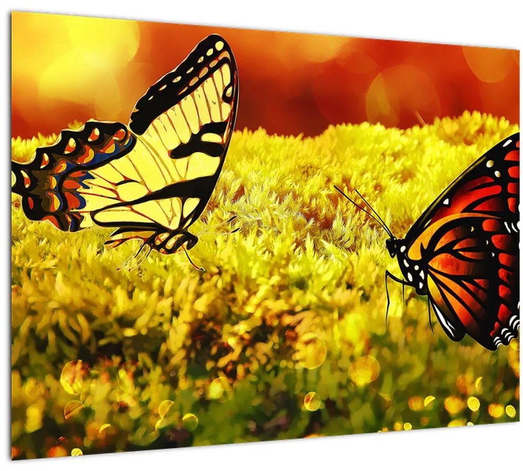 Tablou cu fluturi (70x50 cm)
