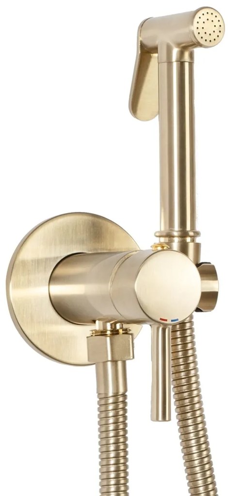 Baterie bideu Lungo Loop Gold Brush