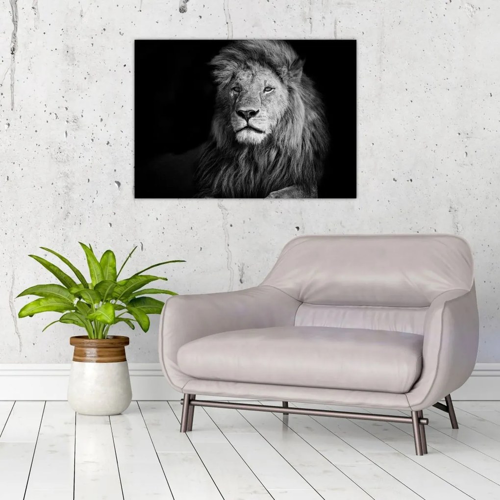 Tablou - Leu, alb și negru (70x50 cm)