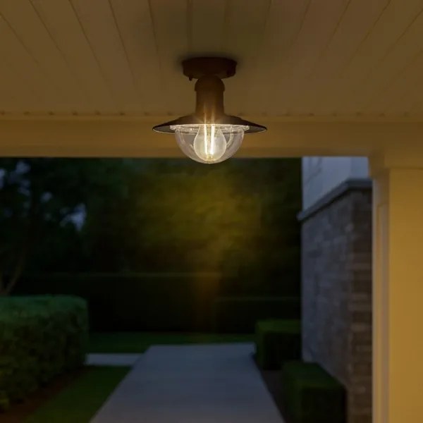 Brilagi - Plafonieră de exterior MOLDE 1xE27/60W IP44 negru