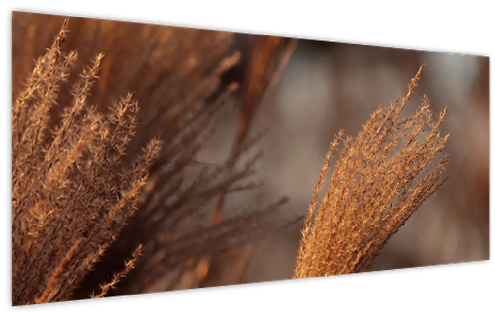 Tablou - Cortaderie (120x50 cm)