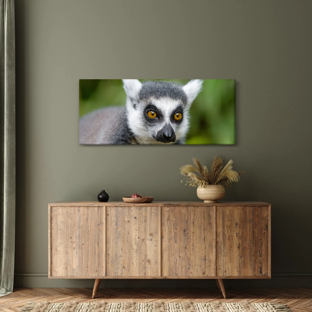 Tablou cu lemur (120x50 cm)