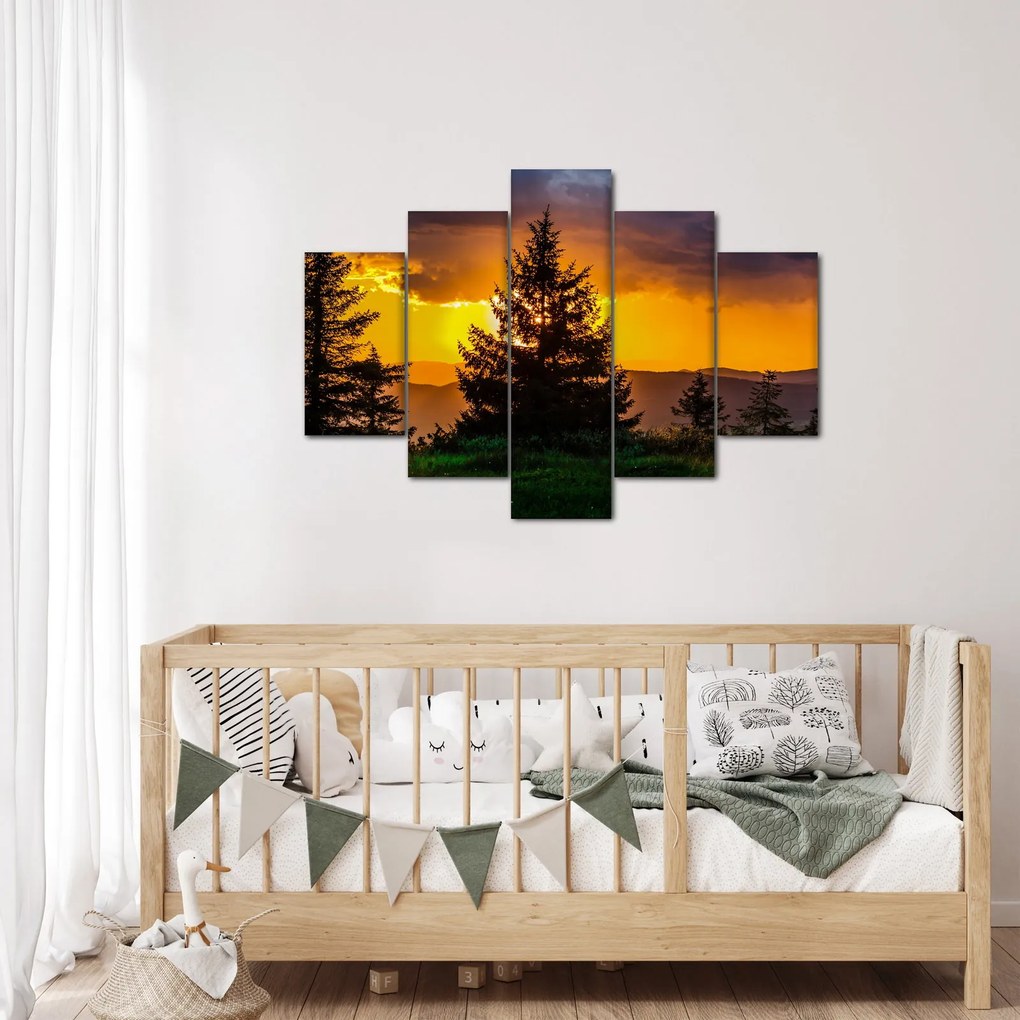 Tablou - coniferi (150x105 cm)