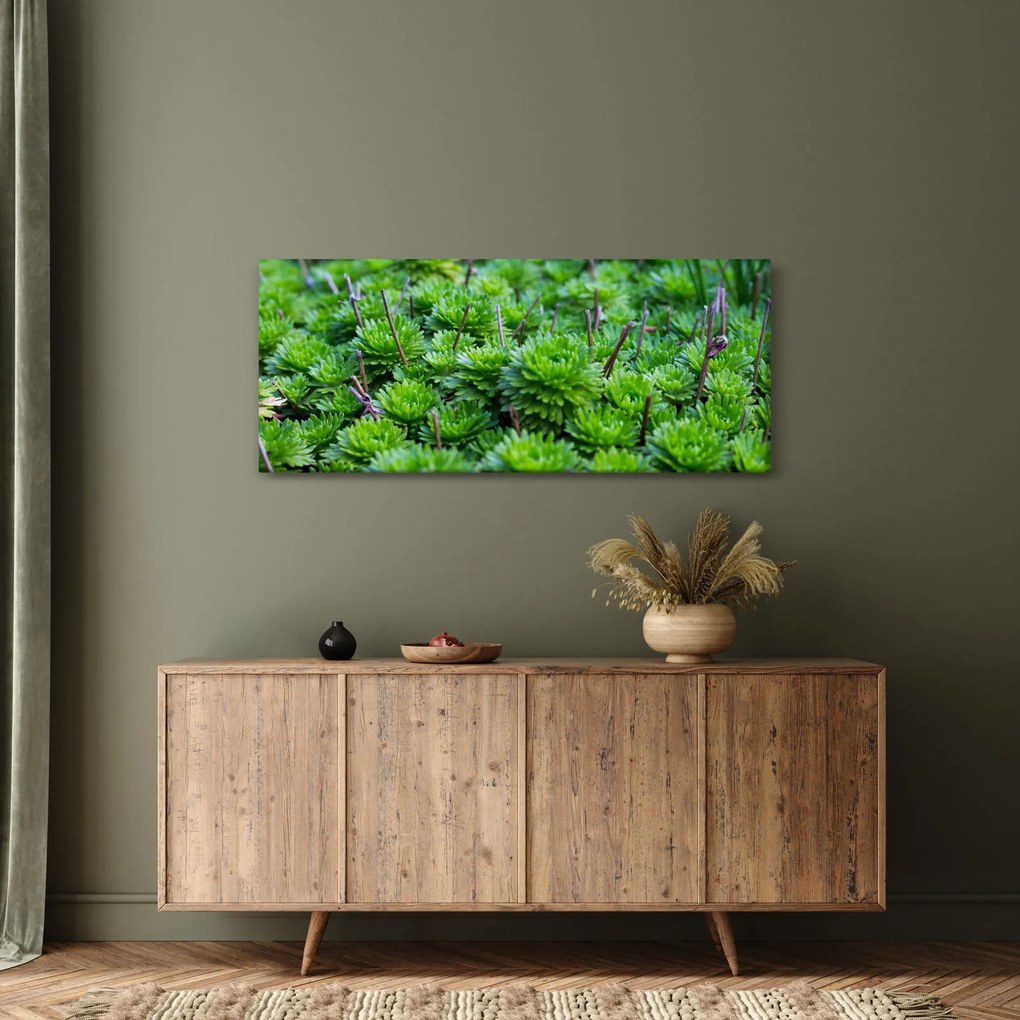 Tablou - Aloe (120x50 cm)