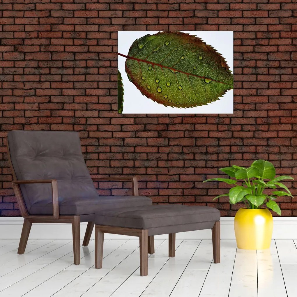 Tablou pe sticlă - Frunze de trandafir (70x50 cm)